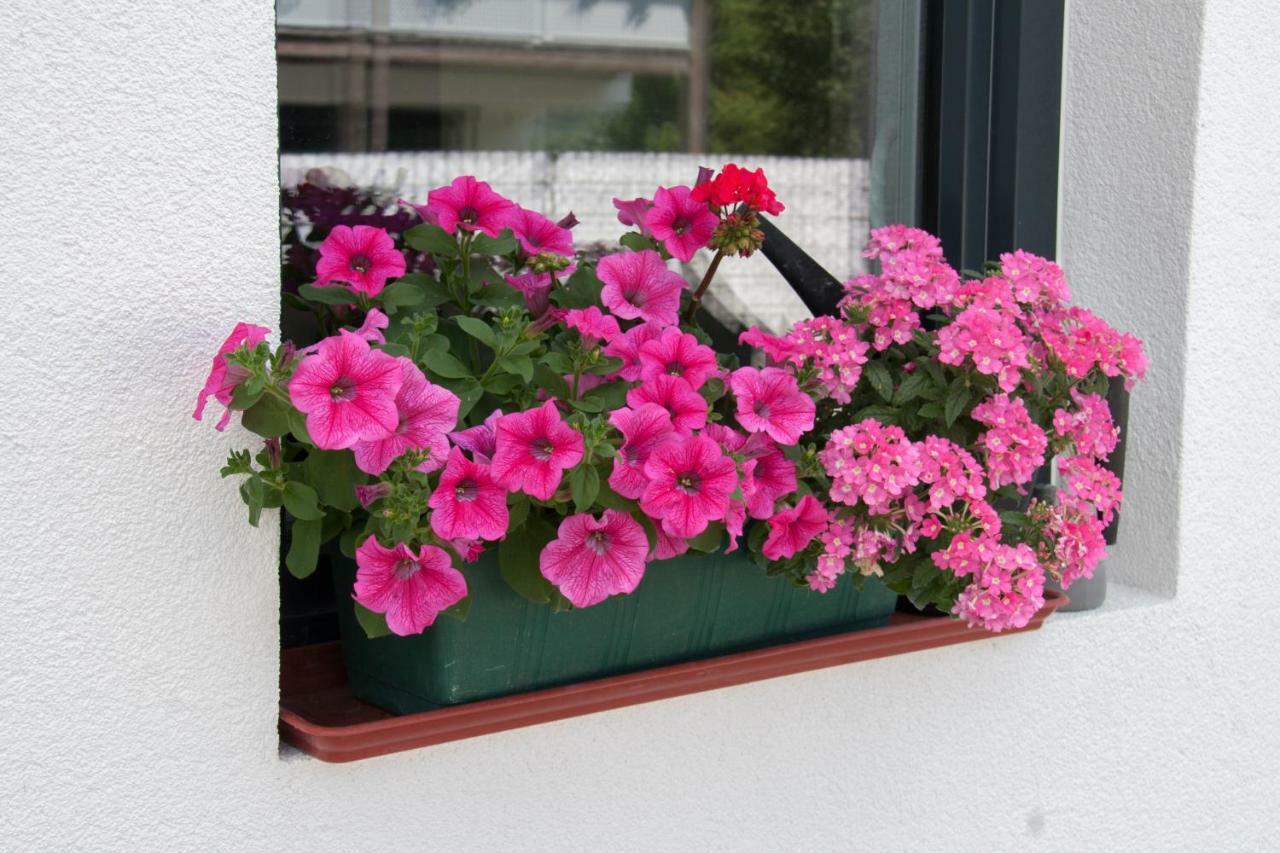 Ferienwohnung Heissl Fieberbrunn Ngoại thất bức ảnh